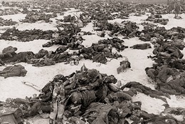 Черное Рождество под Сталинградом